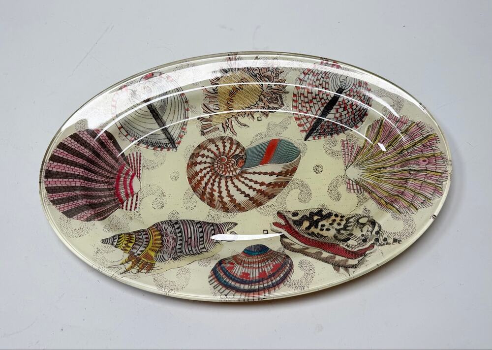 John Derian Signed Nautilus Seashell Decoupage Glass Platter 14”